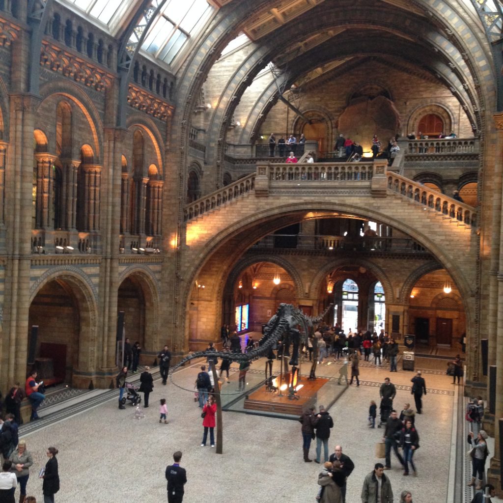 The interior of the Natural History Museum